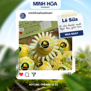 Lê Sữa – Thanh Mát