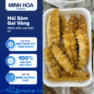 Hải Sâm Gai Vàng - Nhân sâm của biển cả