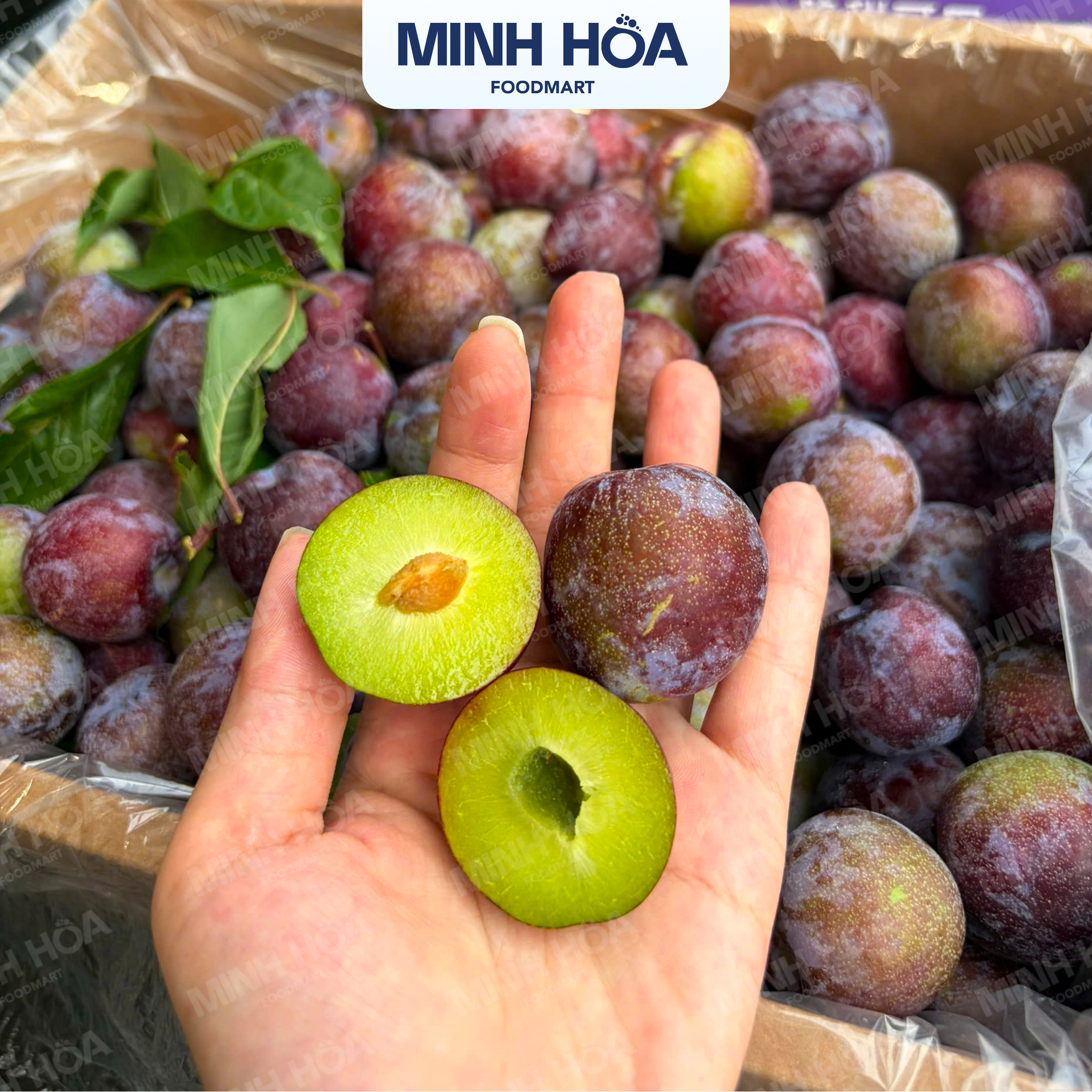 Mận tím róc hạt