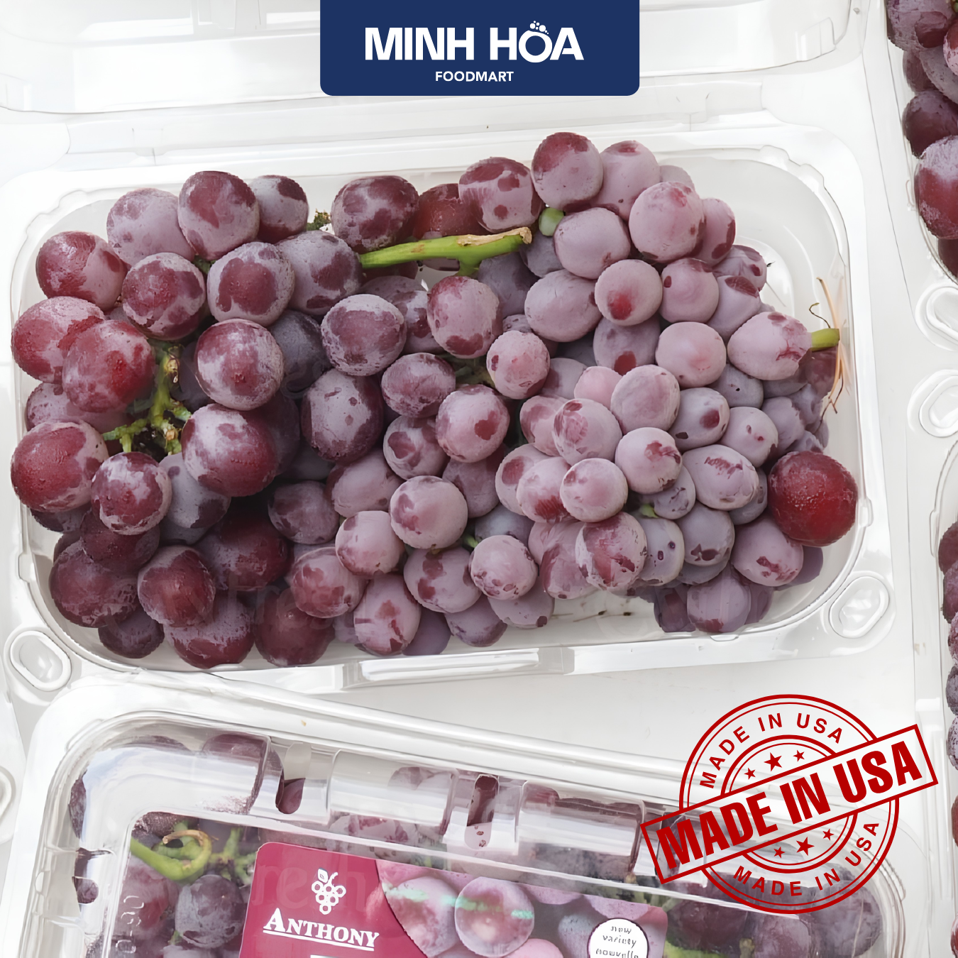 Nho kẹo Candy Snaps
