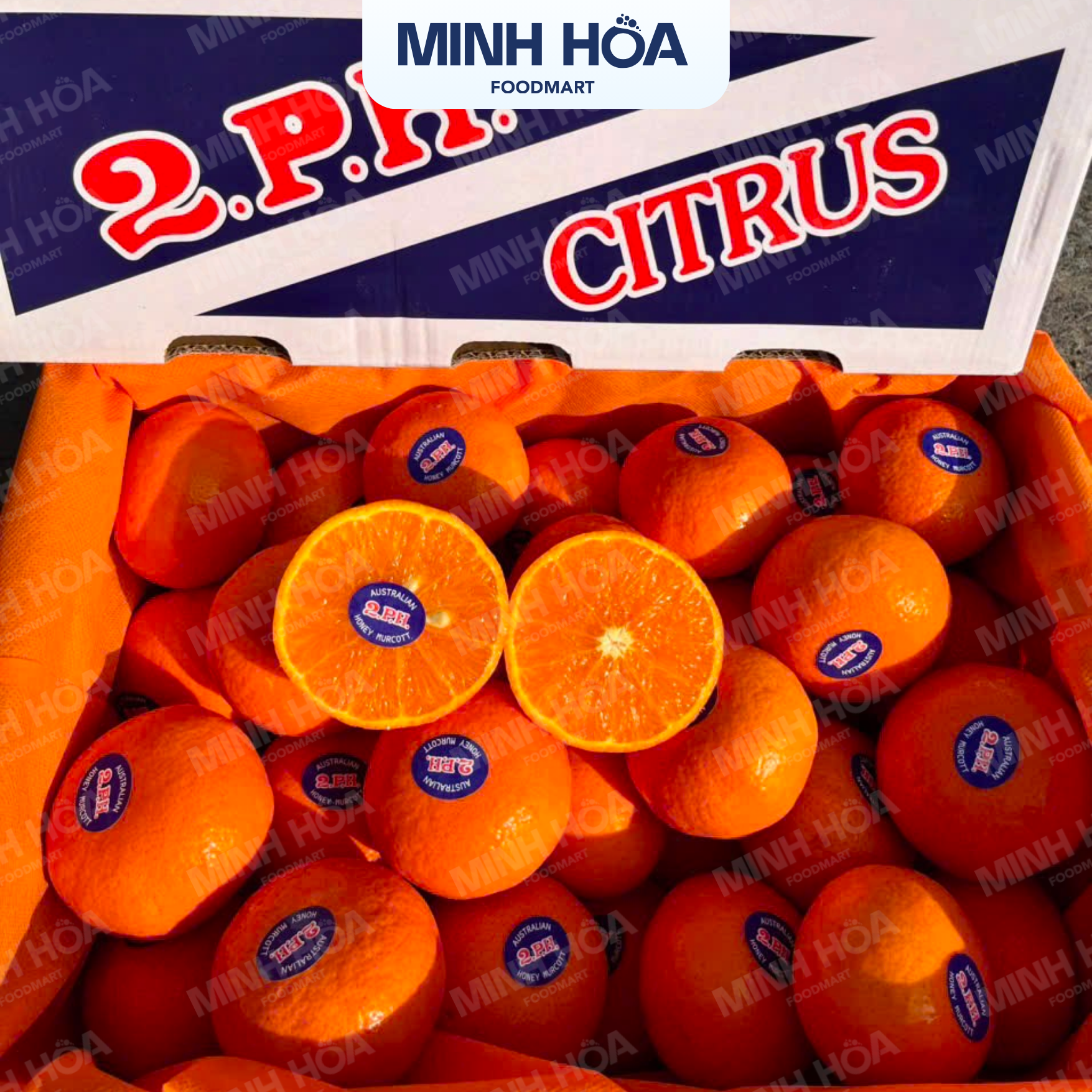 Quýt 2PH (3)