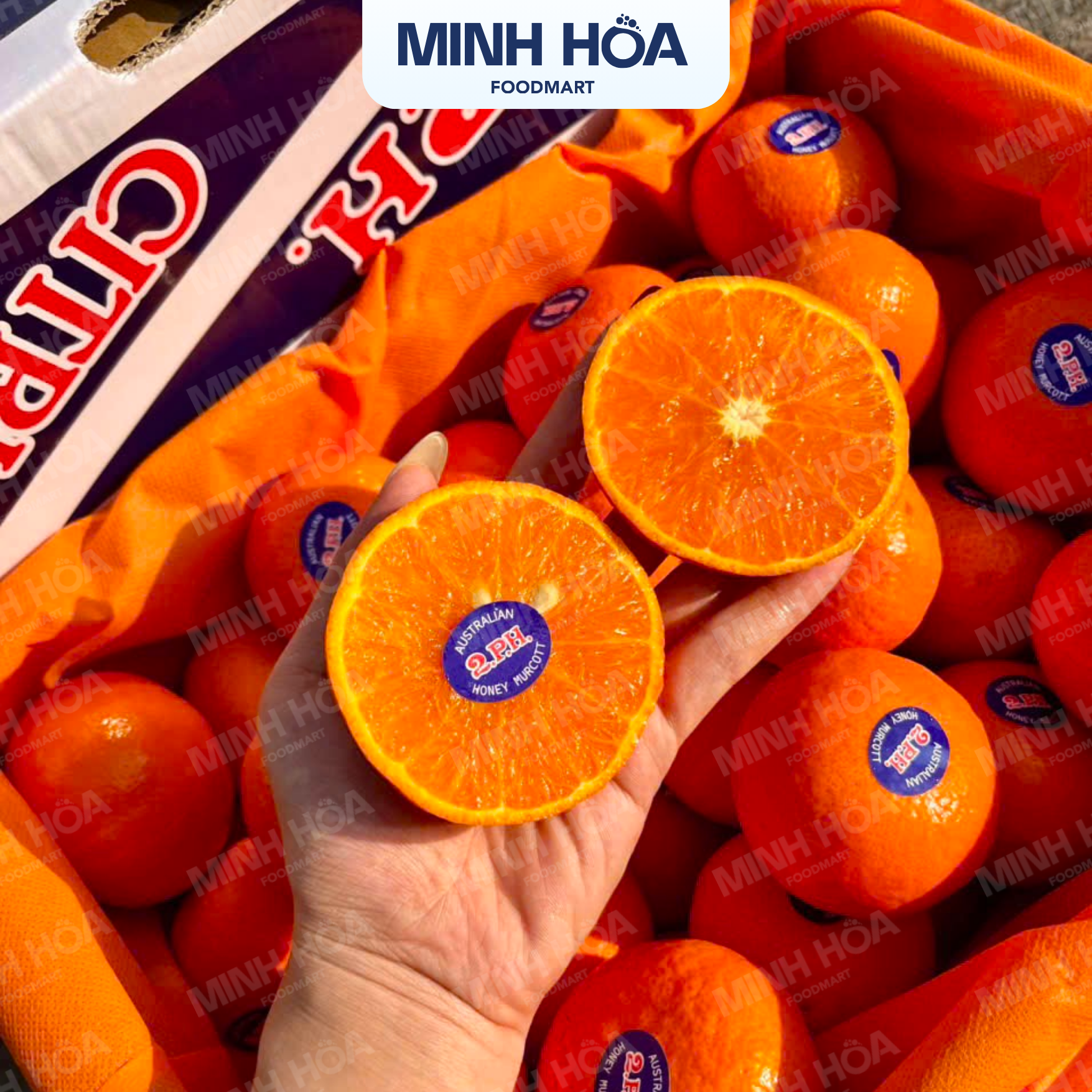 QUÝT 2PH ÚC - Ngọt lịm