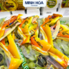 NHO XANH MỸ JPG (IPG) DÒNG ELITE CRUNCH & FLAVOR – 1KG