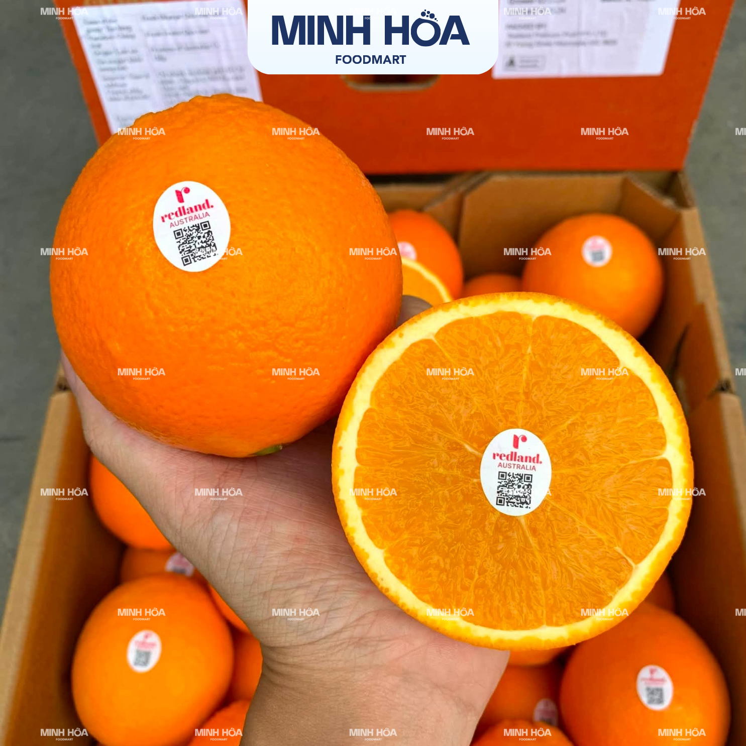 Bản sao 48