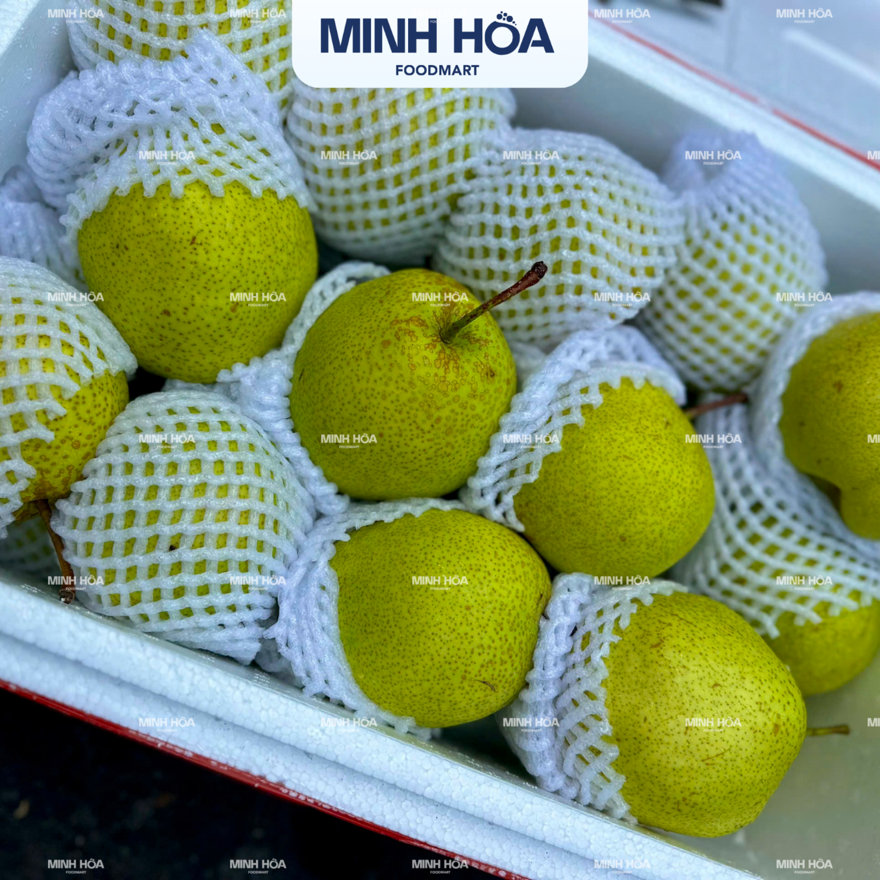 Lê xanh đường (3)
