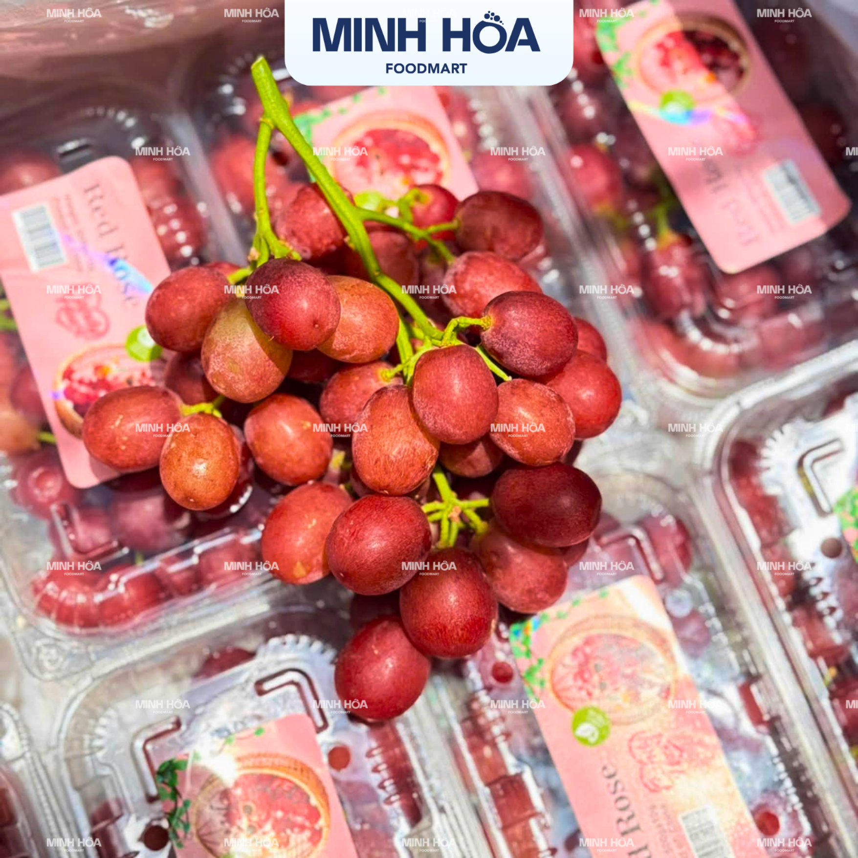 NHO ĐỎ KẸO VẢI RED ROSE CANDY HEART – HỘP 500G