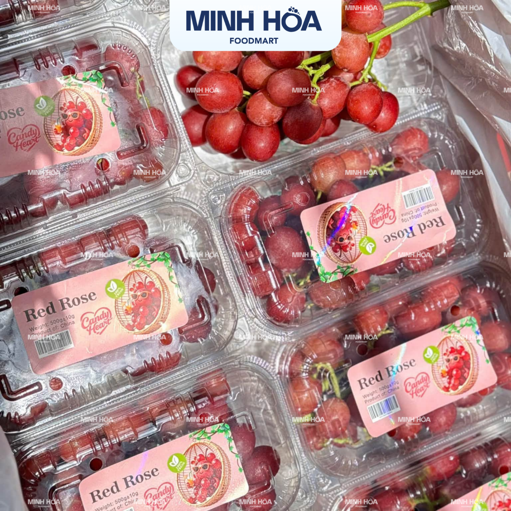 nho hoa hồng (4)